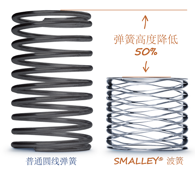 波形弹簧